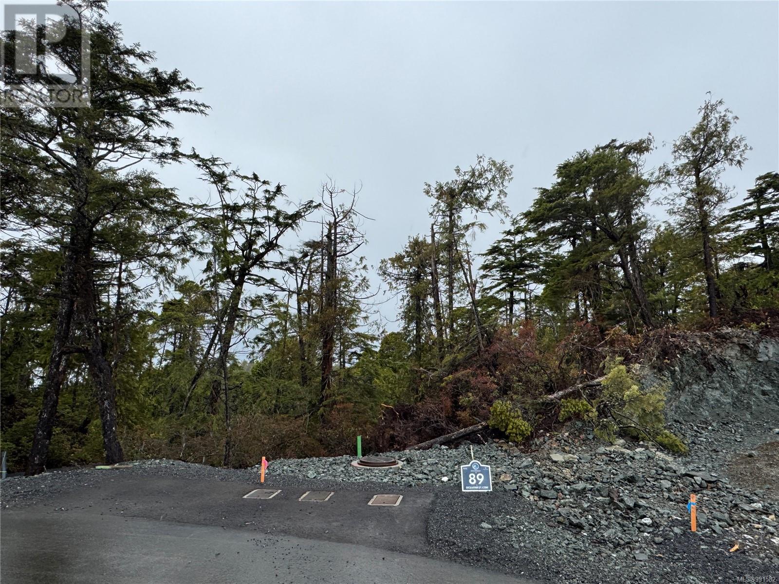 Lot 89 Raven Lane, Ucluelet, British Columbia  V0R 3A0 - Photo 2 - 991582