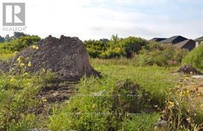 Lot 62 Bouw Place, Dutton/dunwich, Ontario  N0L 1J0 - Photo 1 - X12012823