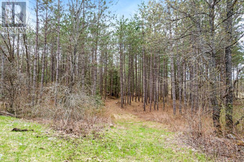 470 11th Line South Sherbrooke Road, Tay Valley, Ontario  K0H 2B0 - Photo 4 - X12012775