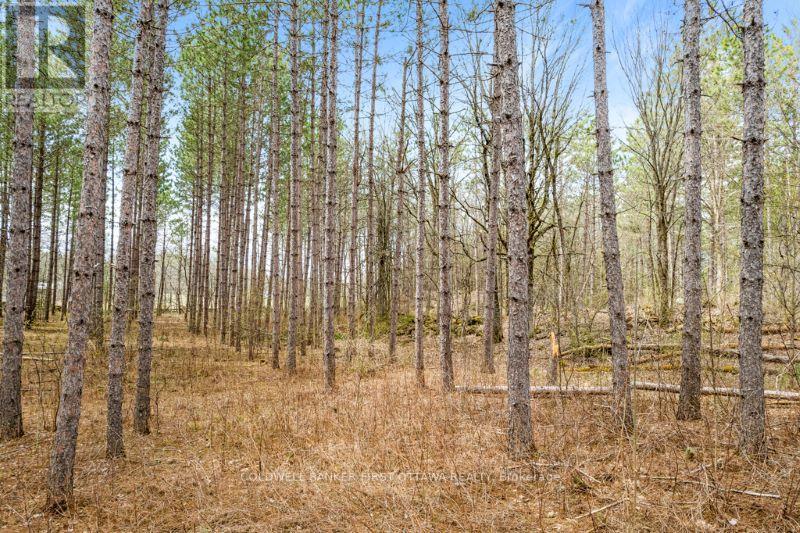 470 11th Line South Sherbrooke Road, Tay Valley, Ontario  K0H 2B0 - Photo 6 - X12012775