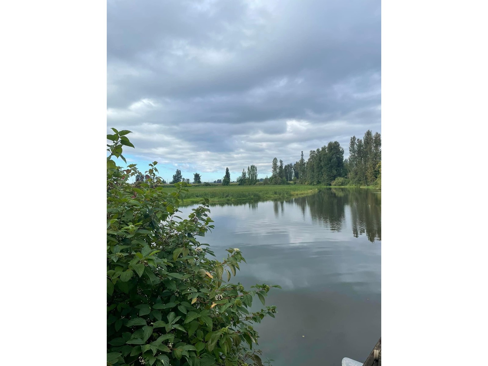 98 8400 Shook Road, Mission, British Columbia  V2V 7L5 - Photo 9 - R2975838