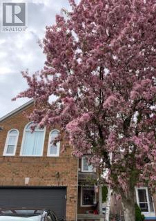 41 Buttercup Lane, Brampton, Ontario  L6R 1N1 - Photo 39 - W12012738