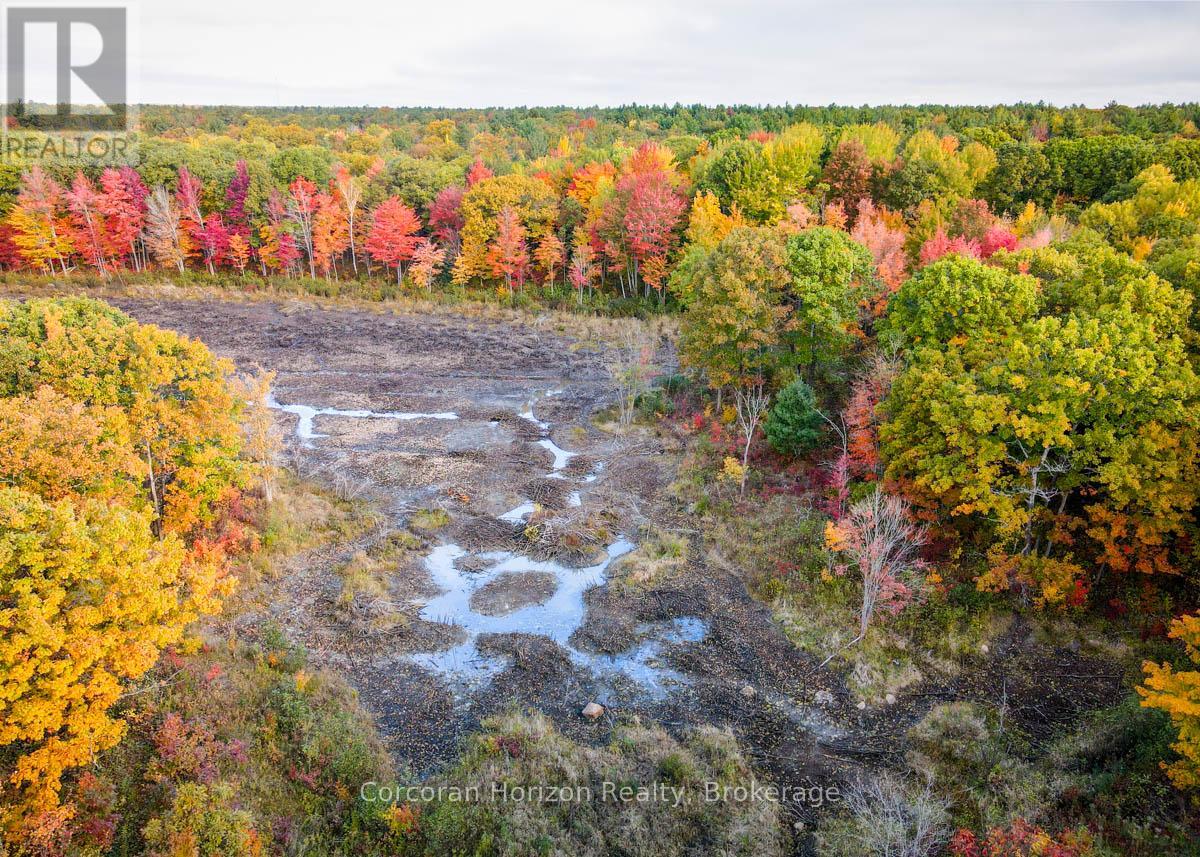 Lot A - 87 Corrievale Rd, Georgian Bay, Ontario  L0K 1S0 - Photo 8 - X12012923
