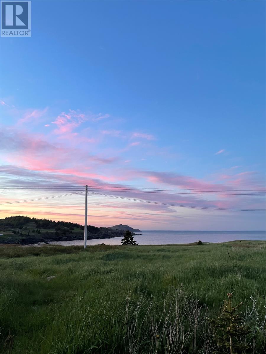 10 Wharf Road Loop, Blackhead, Newfoundland & Labrador  A0A 1M0 - Photo 11 - 1282438