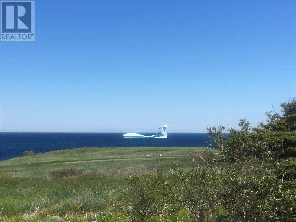 10 Wharf Road Loop, Blackhead, Newfoundland & Labrador  A0A 1M0 - Photo 4 - 1282438