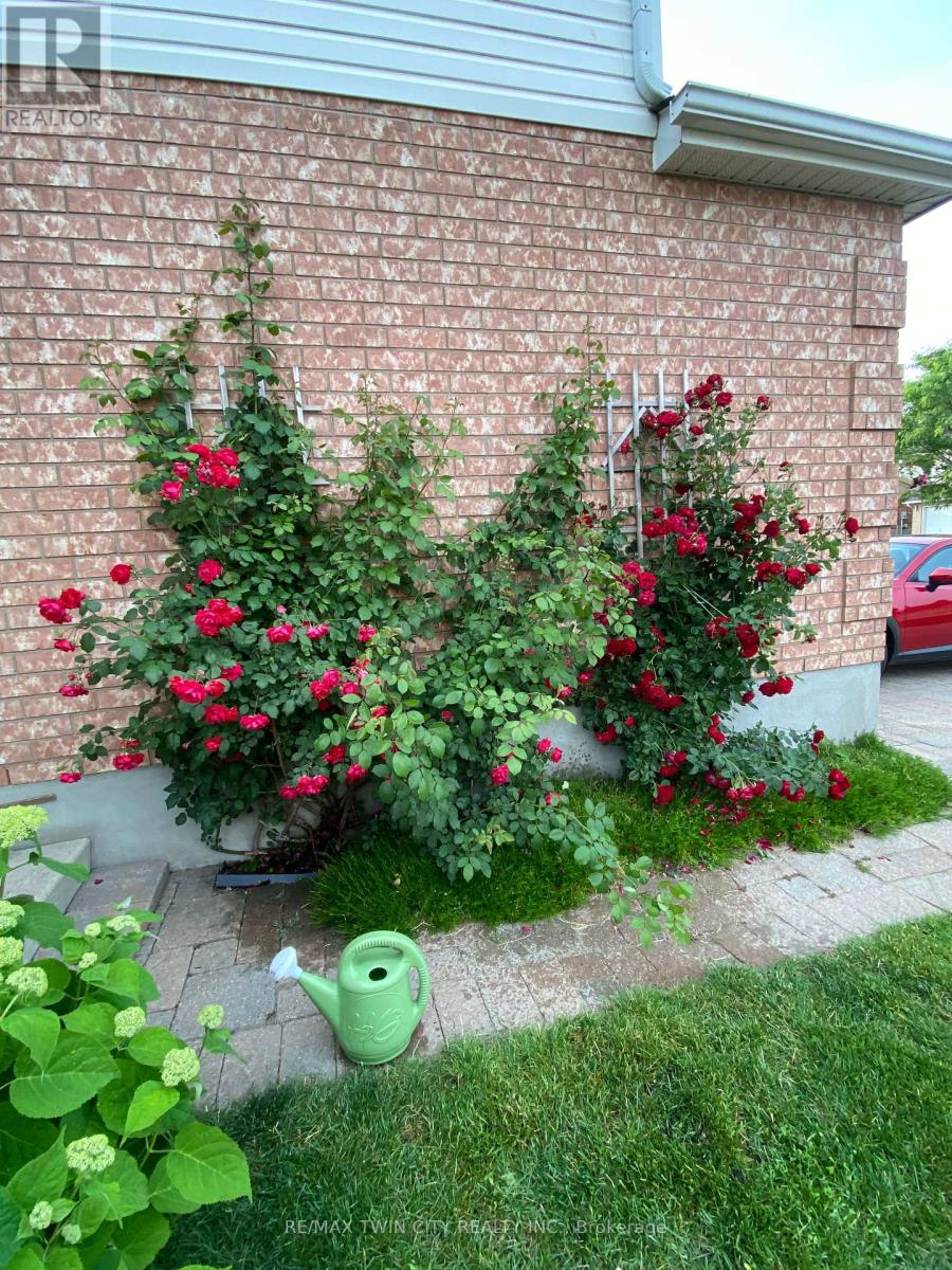 Property at 111 COTTON GRASS STREET image 2
