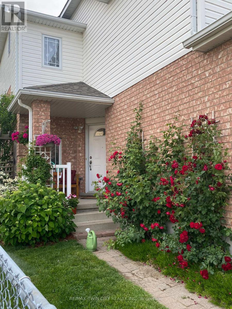 Property at 111 COTTON GRASS STREET image 3
