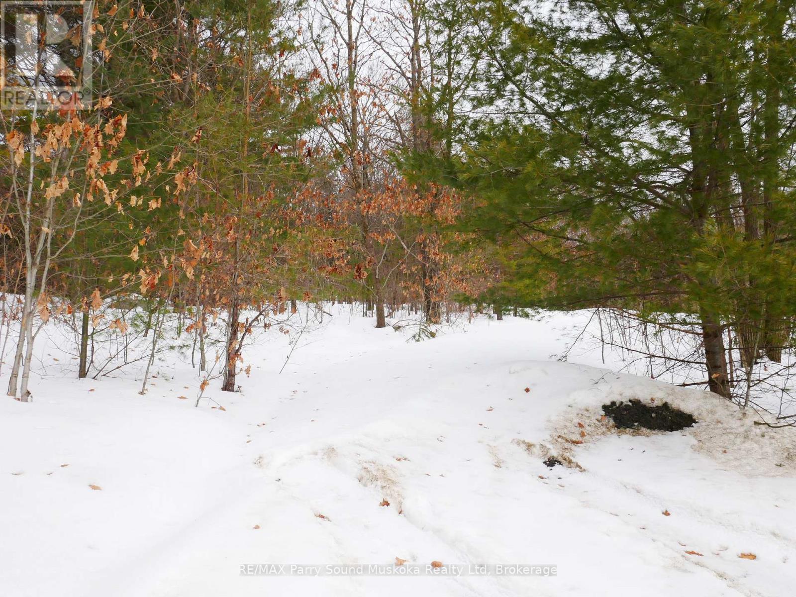 22a Lock Street, Seguin, Ontario  P0C 1J0 - Photo 15 - X12013046