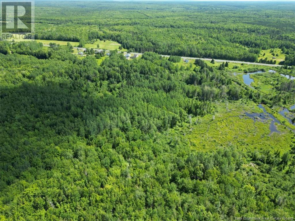 24.711 Acres Route 180, South Tetagouche, New Brunswick  E2A 7G8 - Photo 2 - NB113817