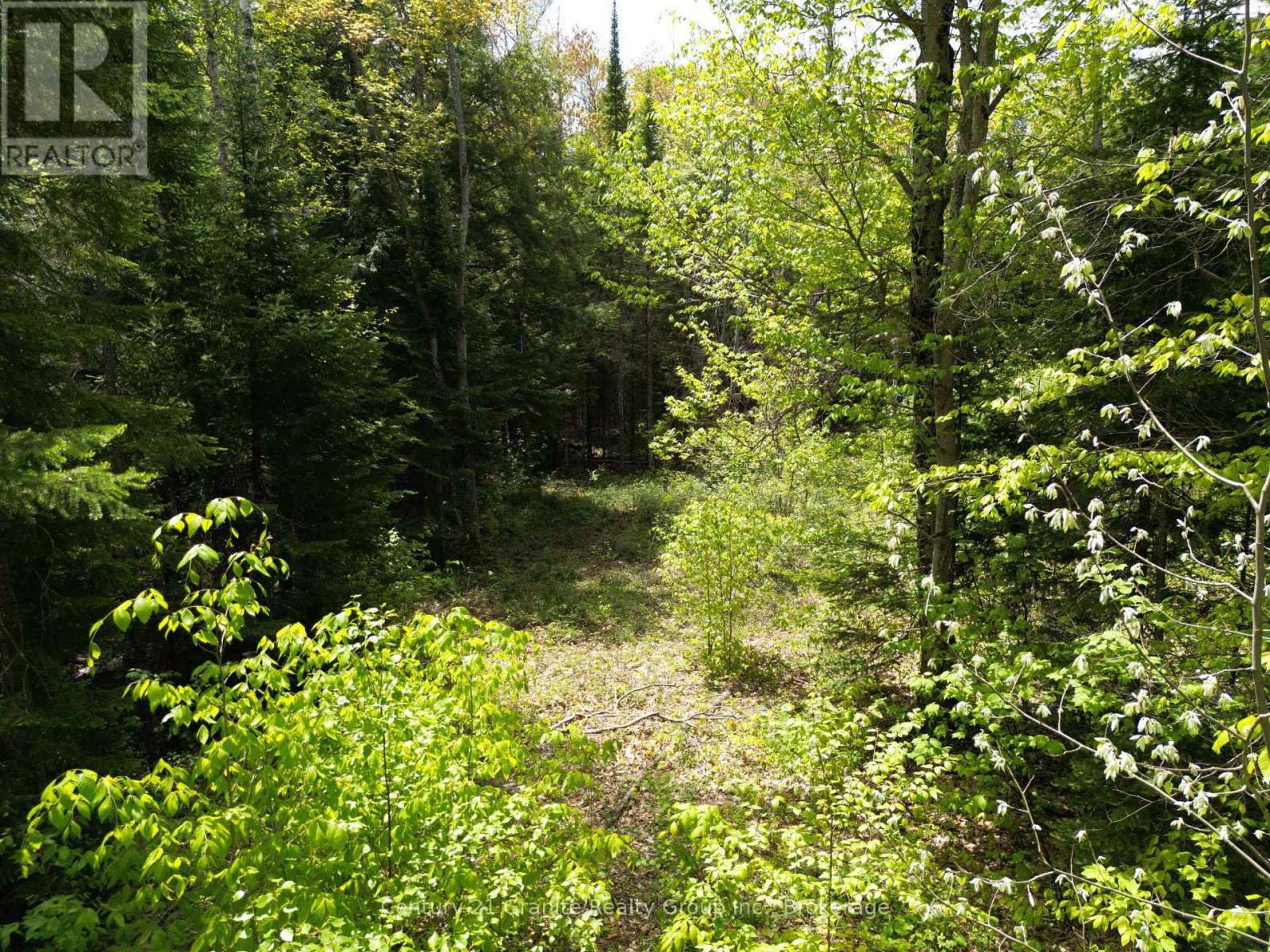 0 Indian Point Road, Dysart Et Al, Ontario  K0M 1S0 - Photo 7 - X12013103