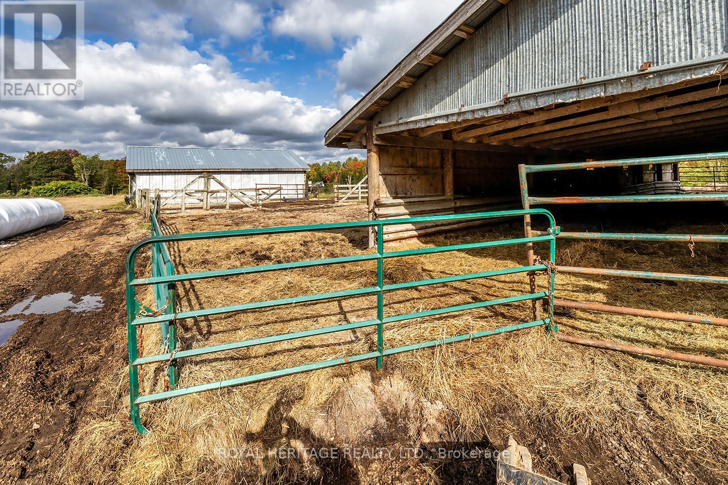 266 Mcfadden Line, Powassan, Ontario  P0H 2L0 - Photo 33 - X12013168