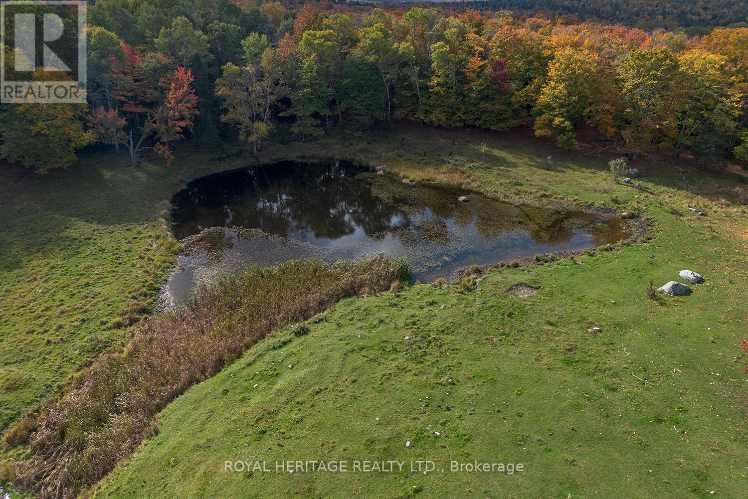 266 Mcfadden Line, Powassan, Ontario  P0H 2L0 - Photo 8 - X12013194