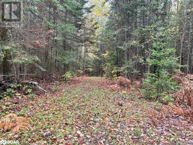 N/a Hadlington Road Unit# Lot 3, Highlands East, Ontario  K0L 2Y0 - Photo 5 - 40705619