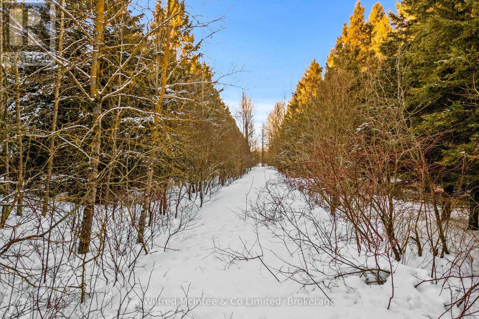 8446 Line 12, Wellington North, Ontario  N0G 1N0 - Photo 31 - X12013326