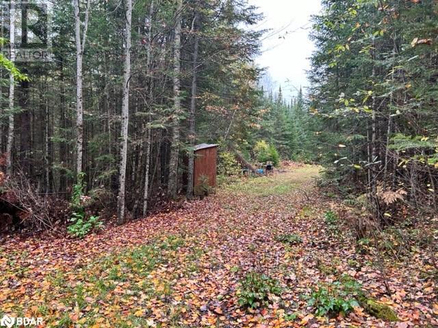 N/a Hadlington Road Unit# Lot 2, Highlands East, Ontario  K0L 2Y0 - Photo 5 - 40705640