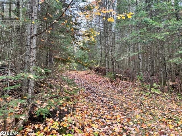 N/a Hadlington Road Unit# Lot 2, Highlands East, Ontario  K0L 2Y0 - Photo 6 - 40705640