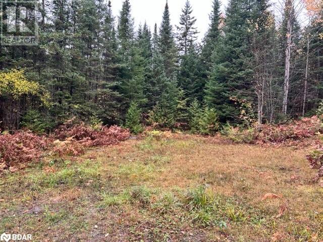 N/a Hadlington Road Unit# Lot 2, Highlands East, Ontario  K0L 2Y0 - Photo 8 - 40705640