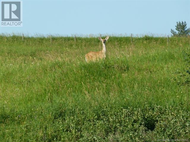 14, 420069 Range Road 284, Rural Ponoka County, Alberta  T4J 1R3 - Photo 5 - A2201484