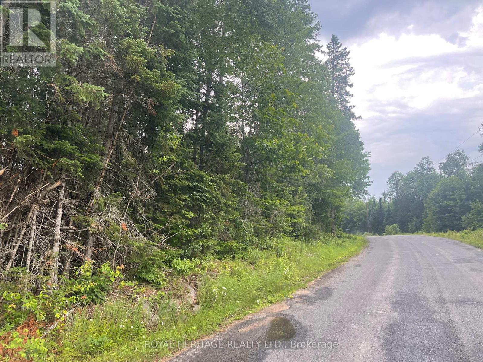 Lot 2 - N/a Hadlington Road, Highlands East (Monmouth), Ontario  K0L 2Y0 - Photo 3 - X12013536