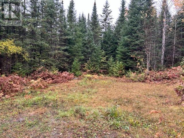 Lot 2 - N/a Hadlington Road, Highlands East (Monmouth), Ontario  K0L 2Y0 - Photo 6 - X12013536