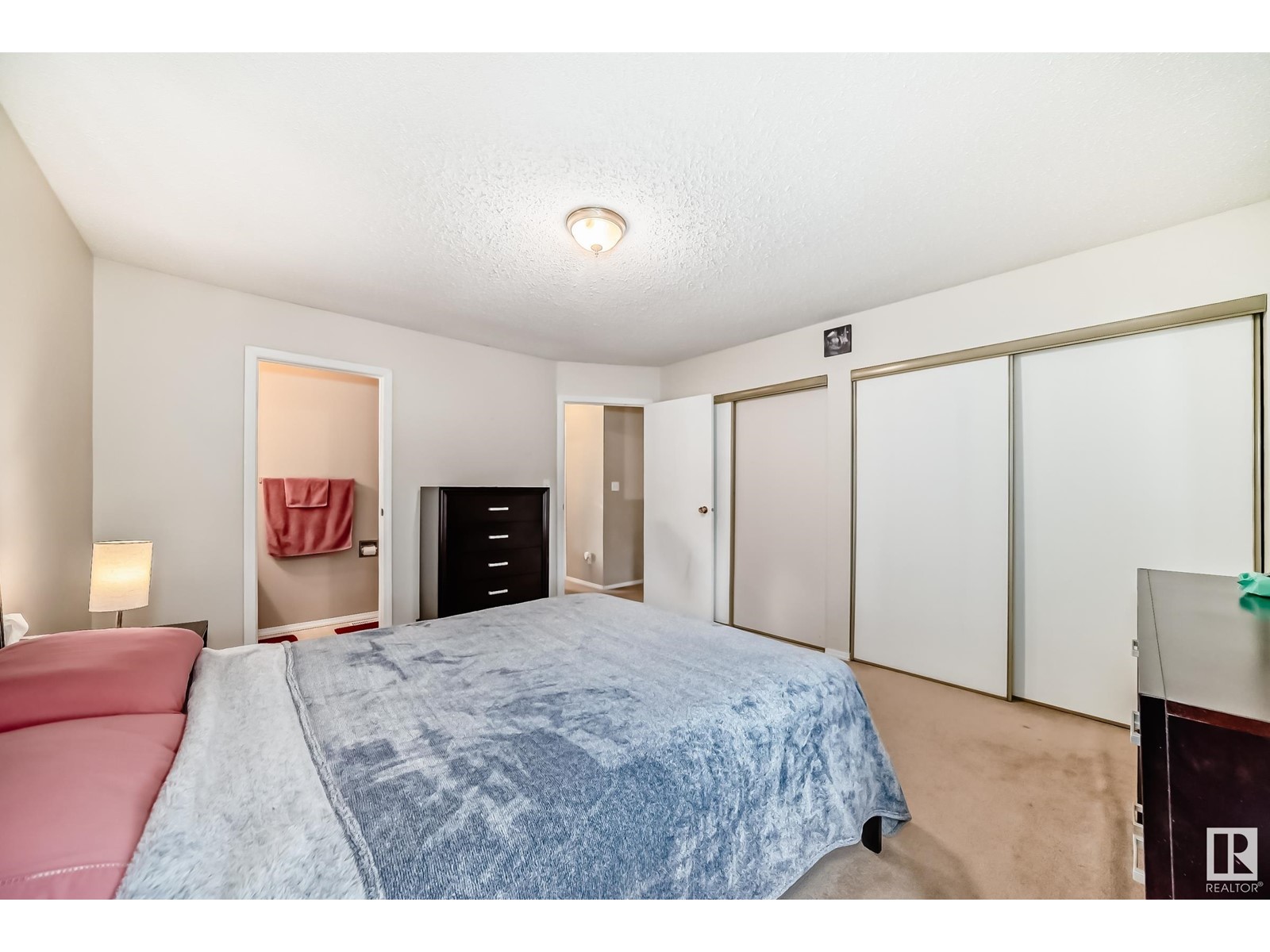 552 Saddleback Rd Nw, Edmonton, Alberta  T6J 4Z3 - Photo 20 - E4425035