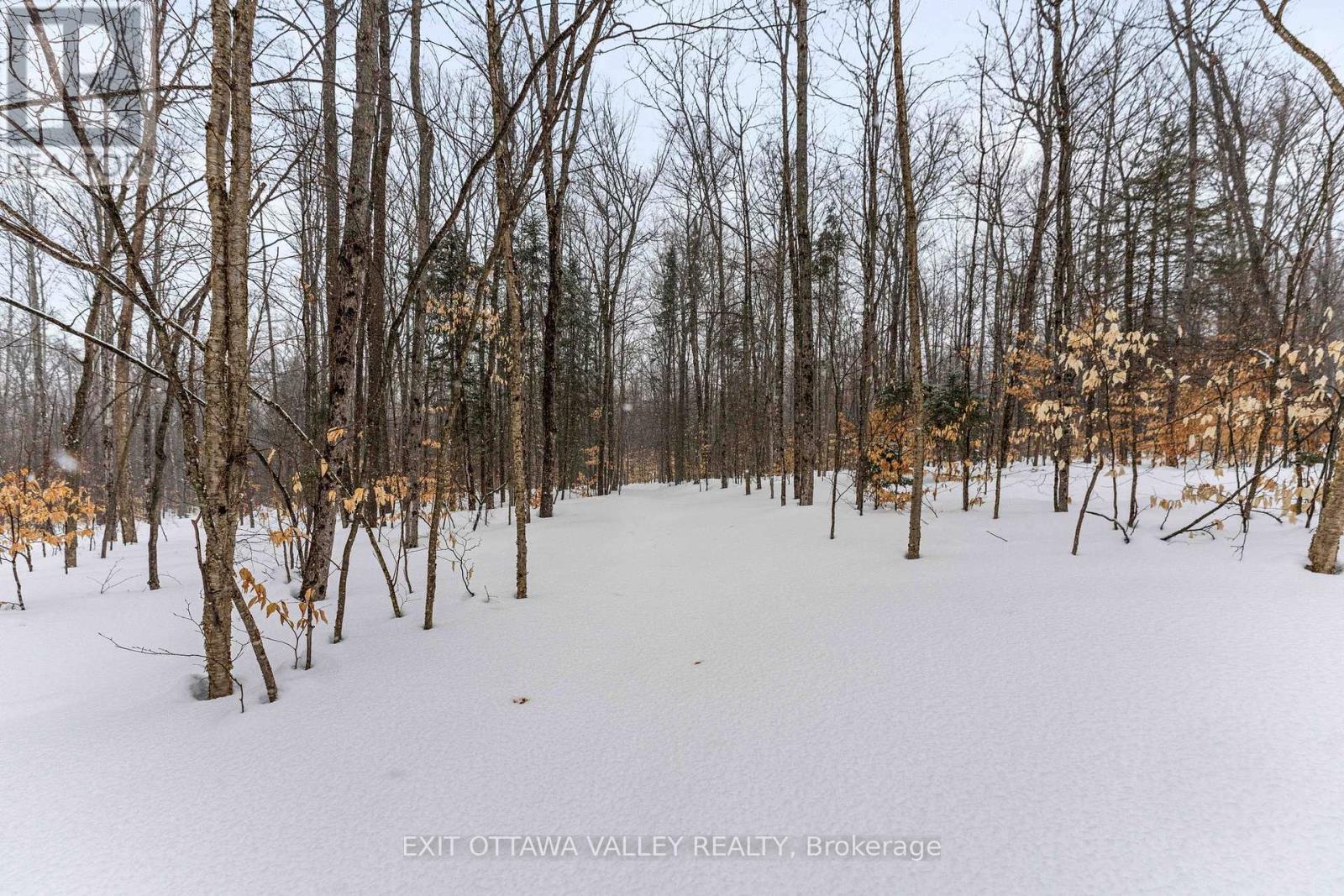 0 Peplinskie Road, Madawaska Valley, Ontario  K0J 1L0 - Photo 5 - X12013689