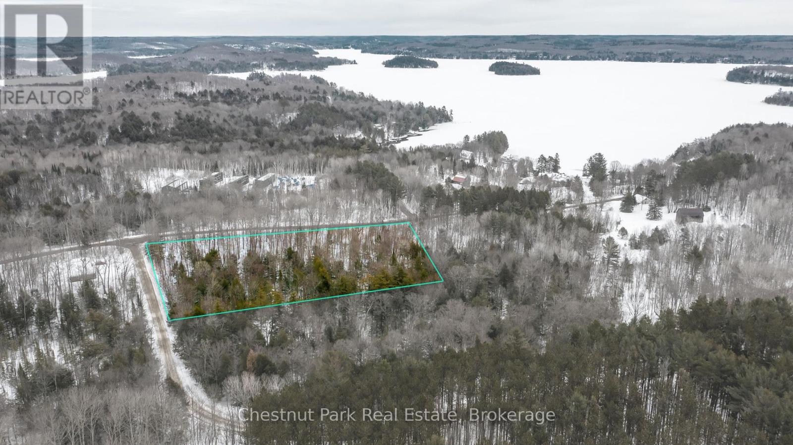 0 Point Ideal Road, Lake Of Bays, Ontario  P0A 1H0 - Photo 10 - X12009040