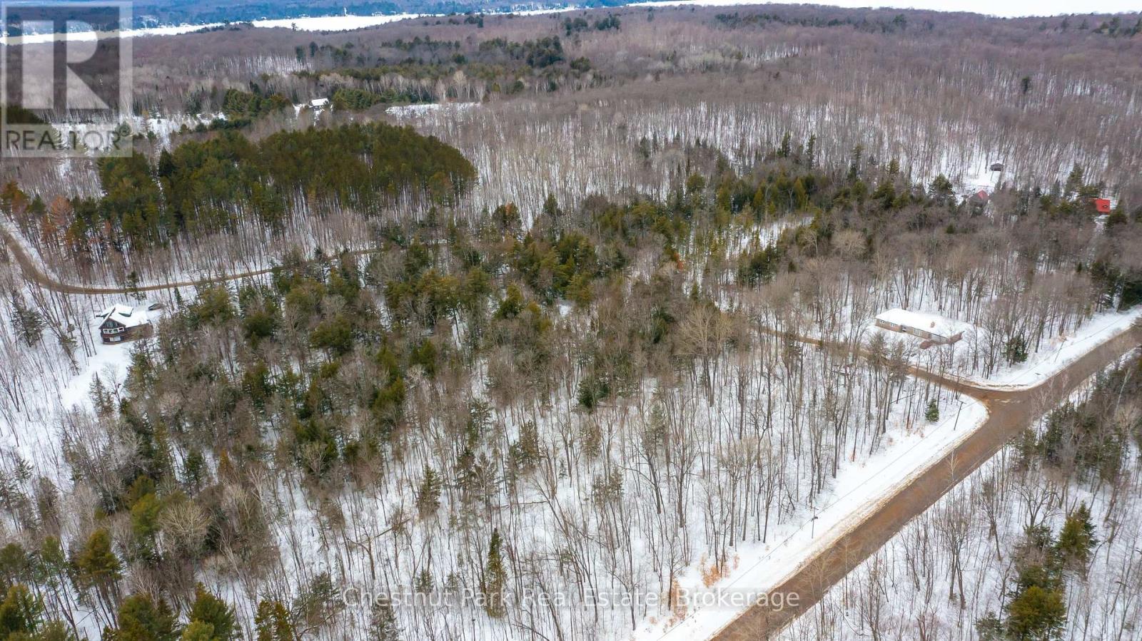 0 Point Ideal Road, Lake Of Bays, Ontario  P0A 1H0 - Photo 11 - X12009040