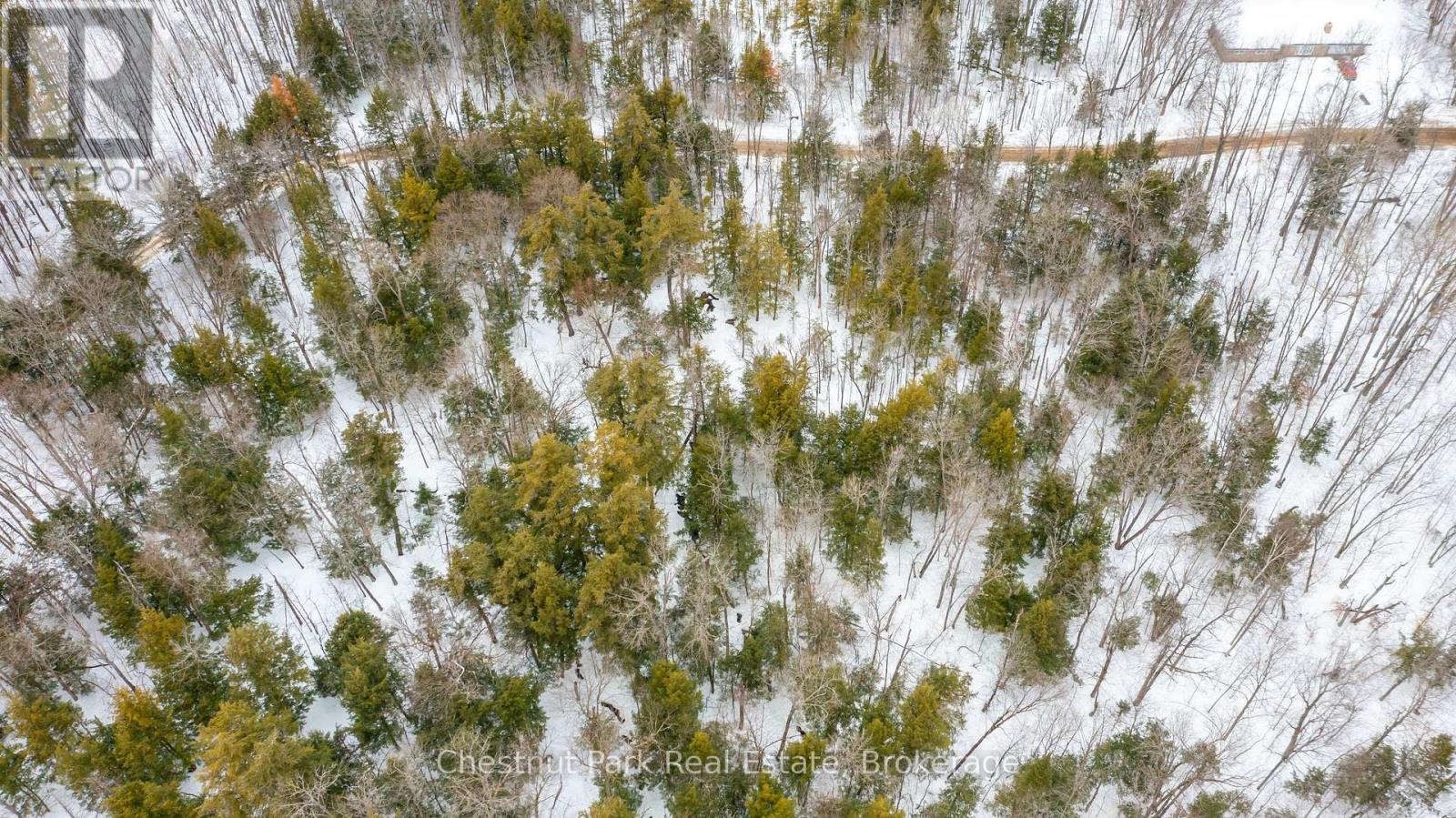 0 Point Ideal Road, Lake Of Bays, Ontario  P0A 1H0 - Photo 12 - X12009040