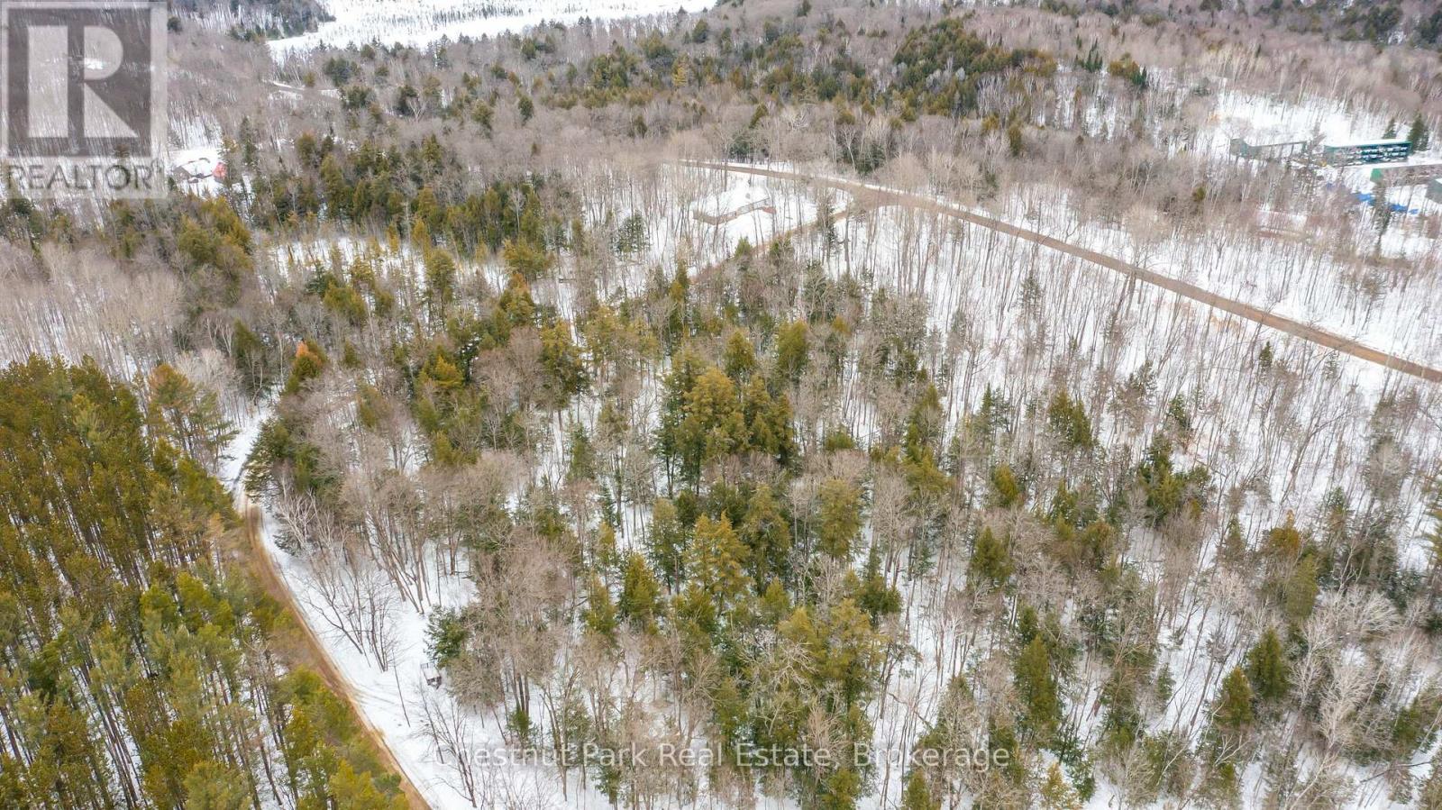0 Point Ideal Road, Lake Of Bays, Ontario  P0A 1H0 - Photo 13 - X12009040