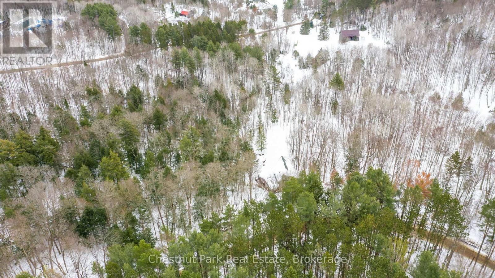 0 Point Ideal Road, Lake Of Bays, Ontario  P0A 1H0 - Photo 14 - X12009040