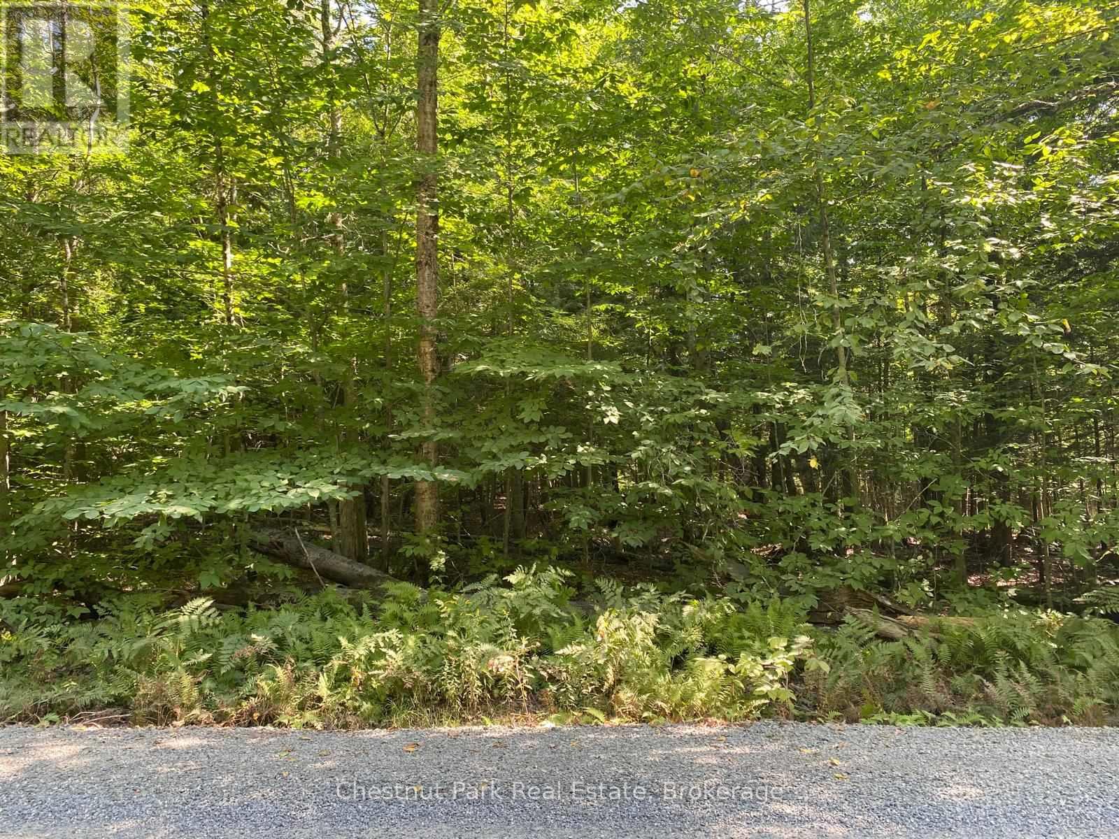 0 Point Ideal Road, Lake Of Bays, Ontario  P0A 1H0 - Photo 3 - X12009040
