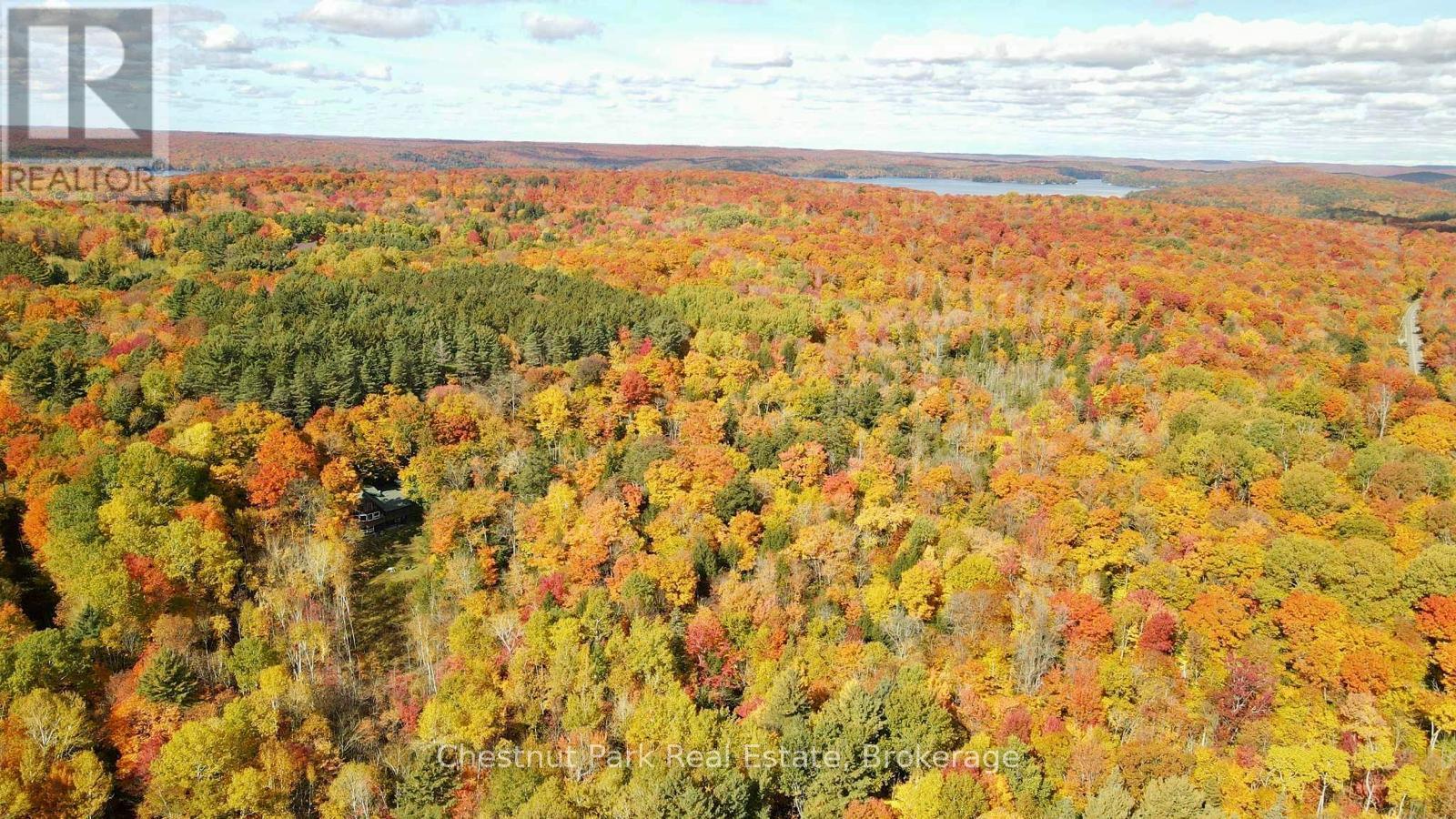 0 Point Ideal Road, Lake Of Bays, Ontario  P0A 1H0 - Photo 4 - X12009040