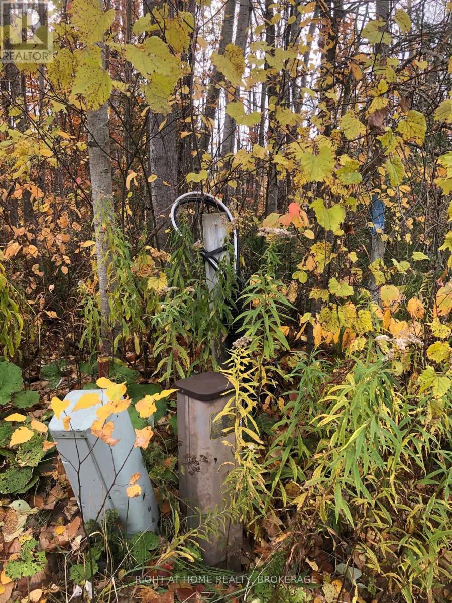 9 Frederick Street, South Bruce Peninsula, Ontario  N0H 2G0 - Photo 3 - X12013839