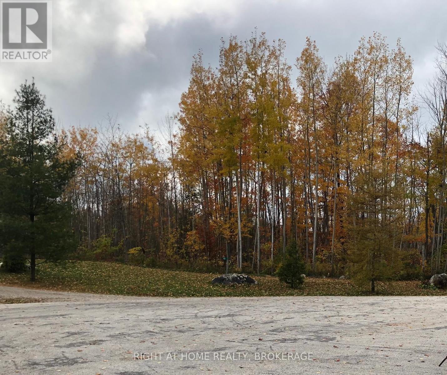 9 Frederick Street, South Bruce Peninsula, Ontario  N0H 2G0 - Photo 4 - X12013839