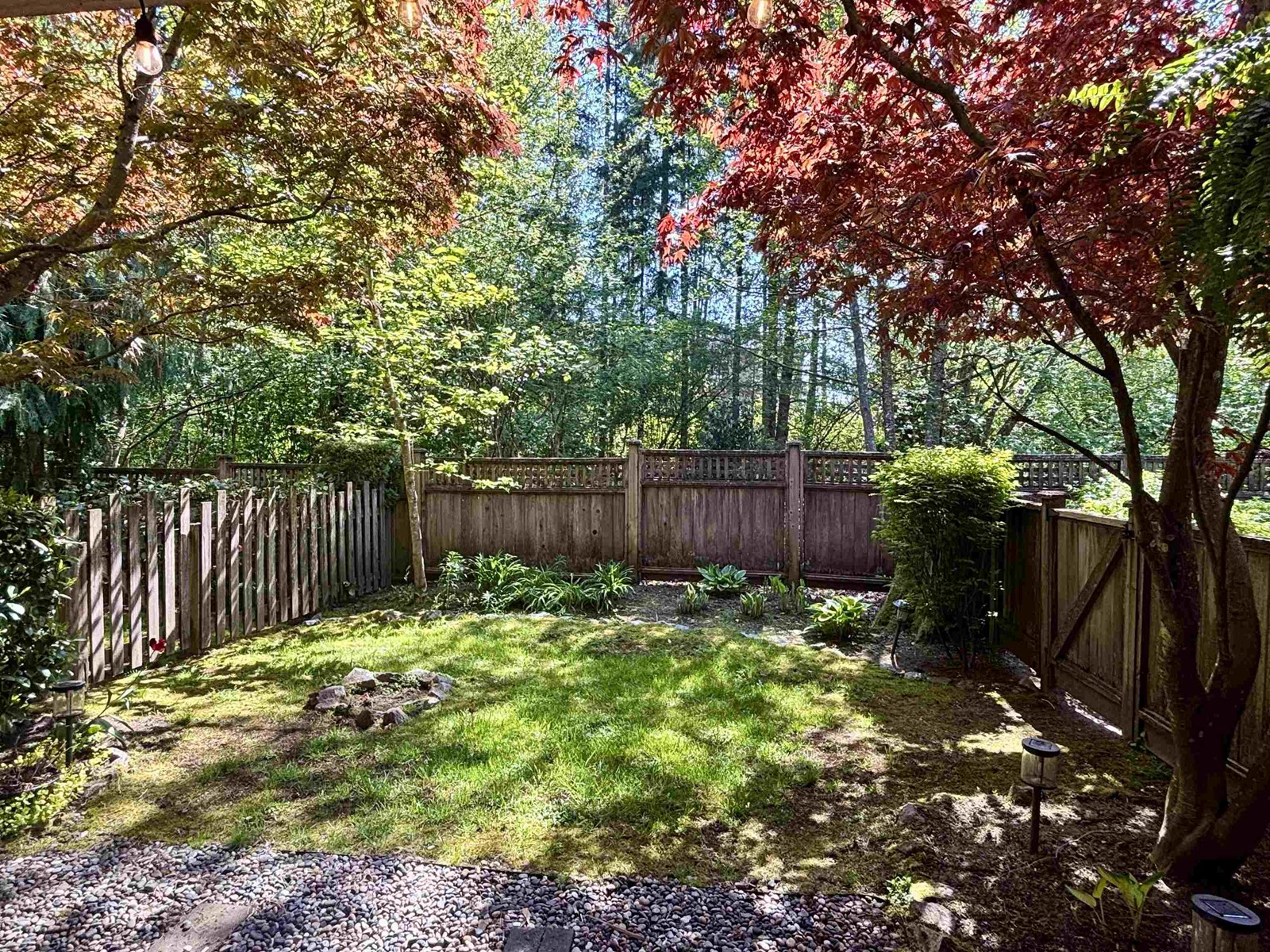 19 20966 77a Avenue, Langley, British Columbia  V2Y 0K9 - Photo 35 - R2976822