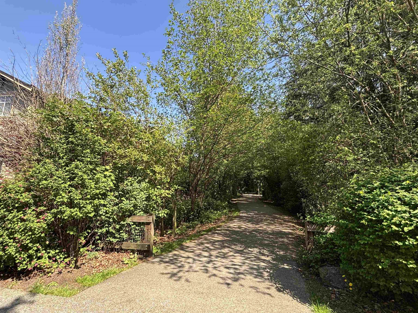 19 20966 77a Avenue, Langley, British Columbia  V2Y 0K9 - Photo 37 - R2976822