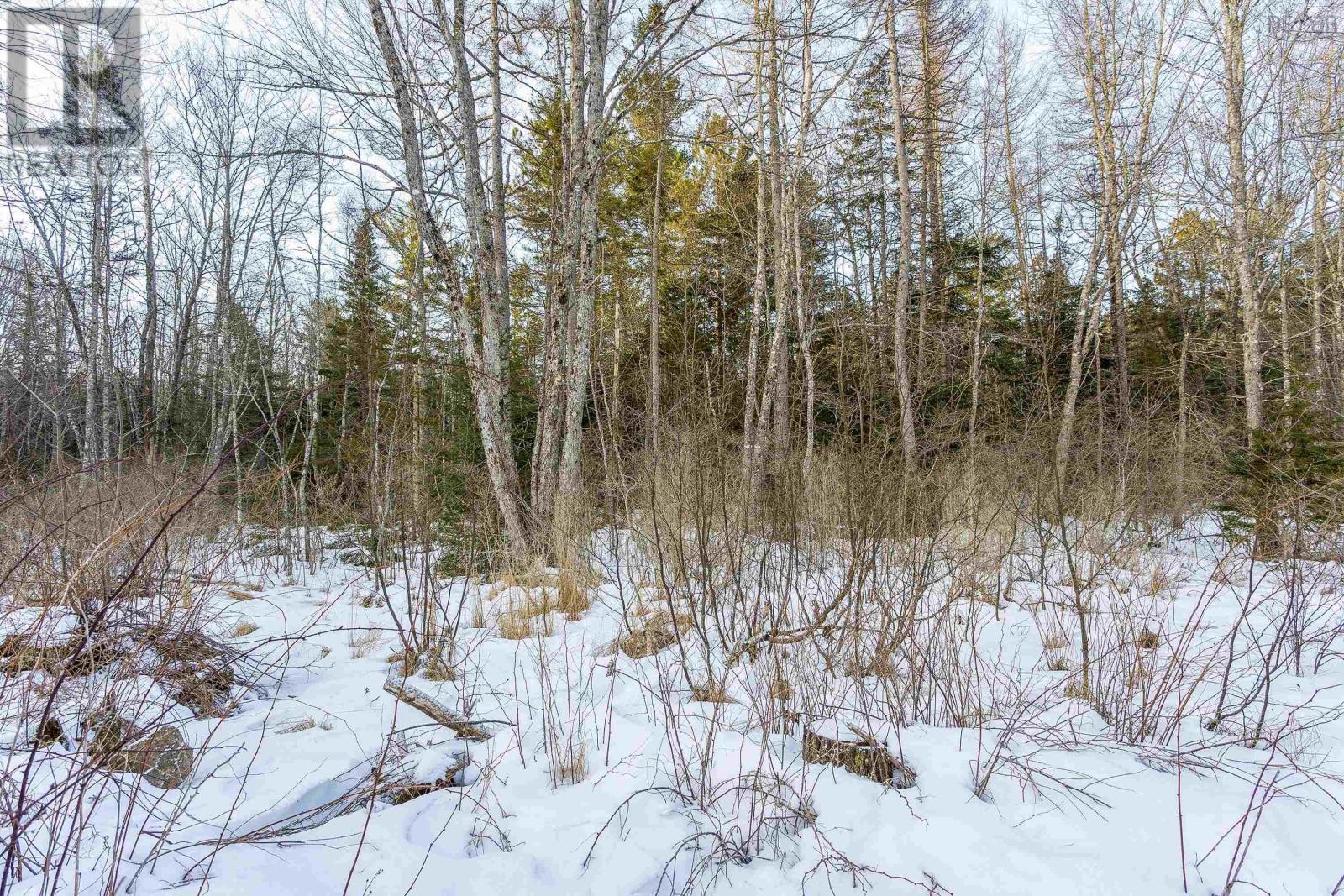 23 Huron Court, Meadowvale, Nova Scotia  B0P 1R0 - Photo 5 - 202504626