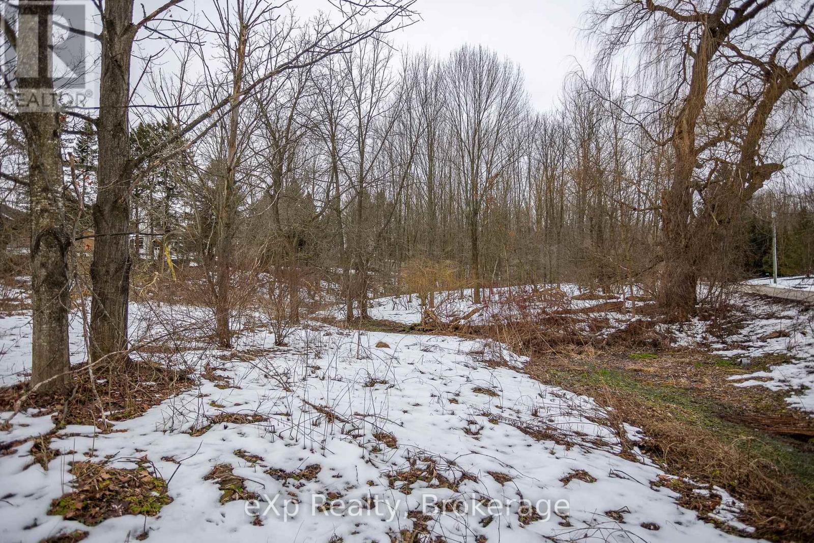 791 23rd Street W, Owen Sound, Ontario  N4K 4H4 - Photo 9 - X12014055