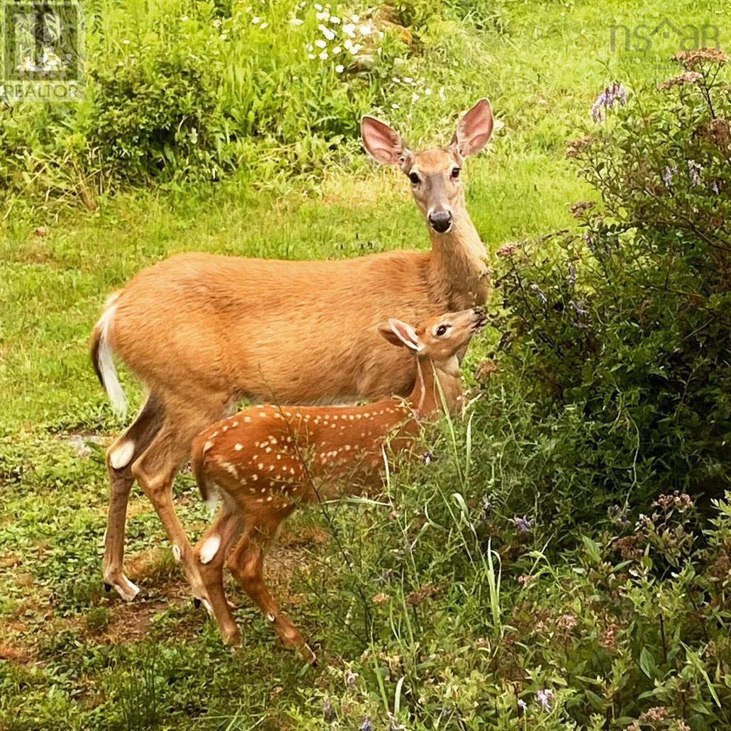 22 Foxberry Hill, Glen Haven, Nova Scotia  B3Z 2W1 - Photo 45 - 202504645