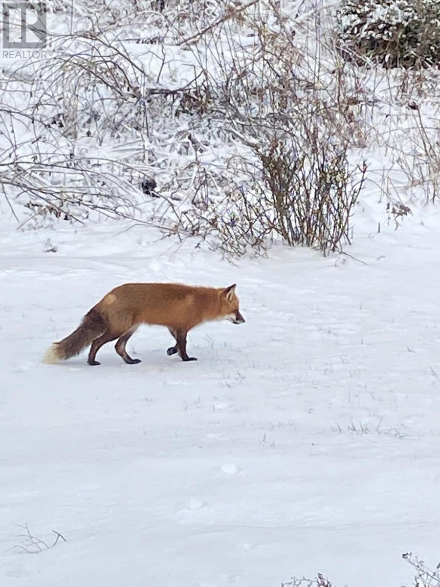 22 Foxberry Hill, Glen Haven, Nova Scotia  B3Z 2W1 - Photo 47 - 202504645