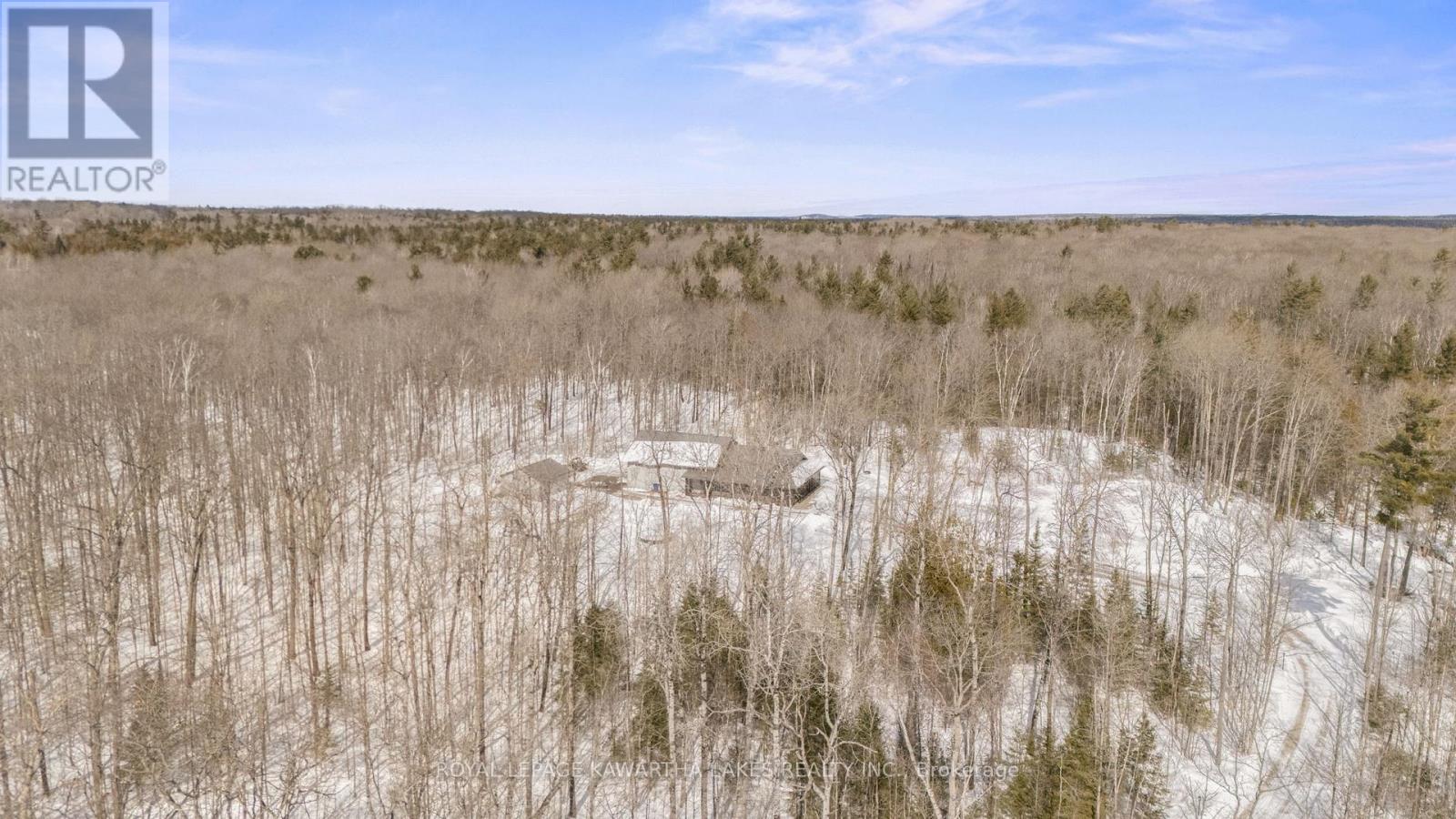 44 Moon Line Road N, Trent Lakes, Ontario  K0M 1A0 - Photo 3 - X12014164