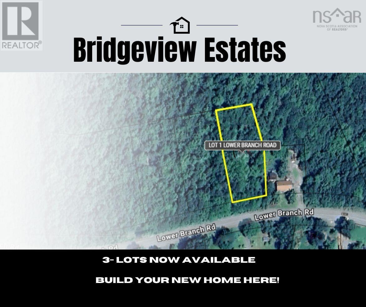 Lot 1 Lower Branch Road, lower branch, Nova Scotia