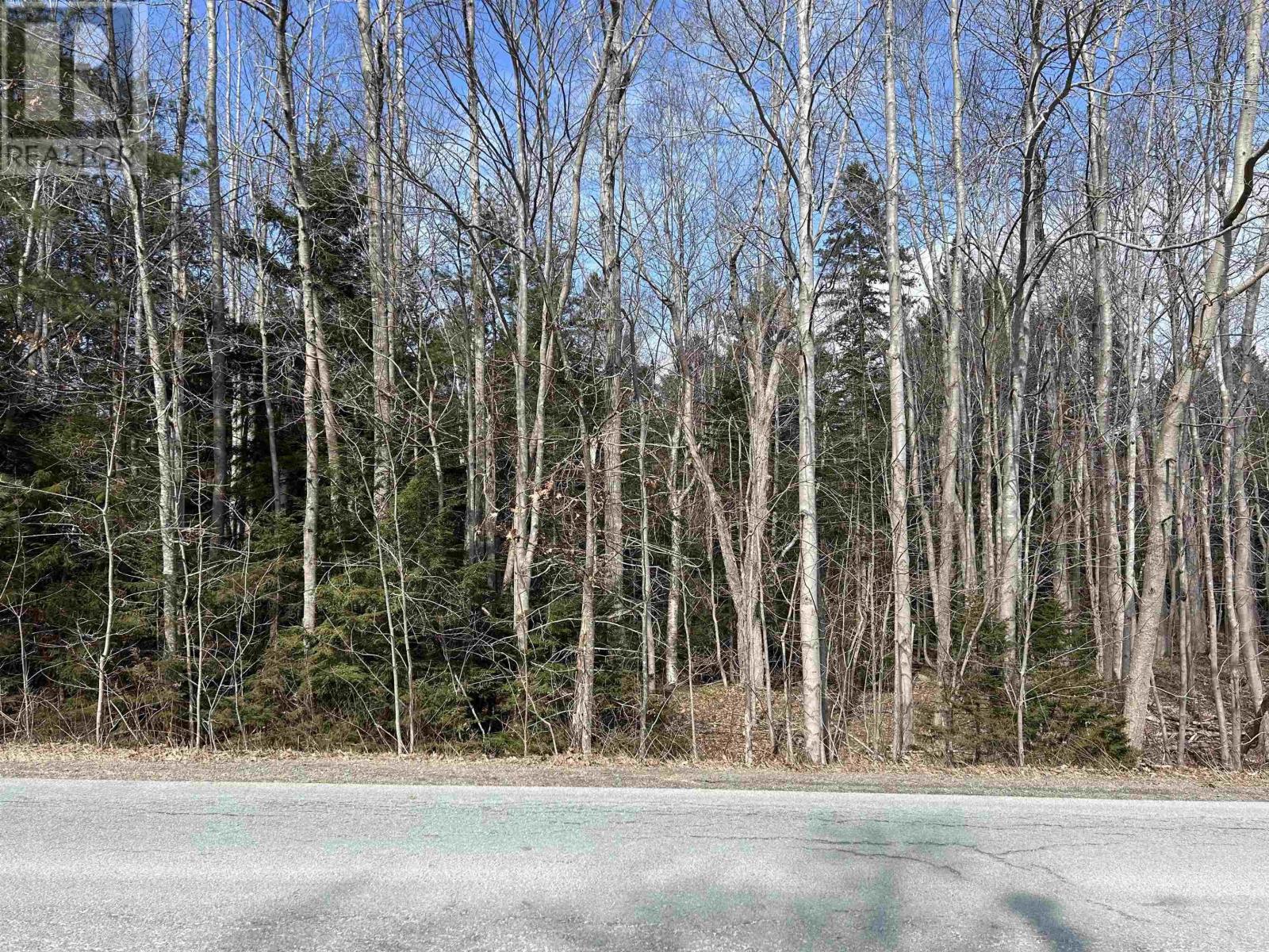 Lot 1 Lower Branch Road, Lower Branch, Nova Scotia  B4V 4M4 - Photo 2 - 202504639