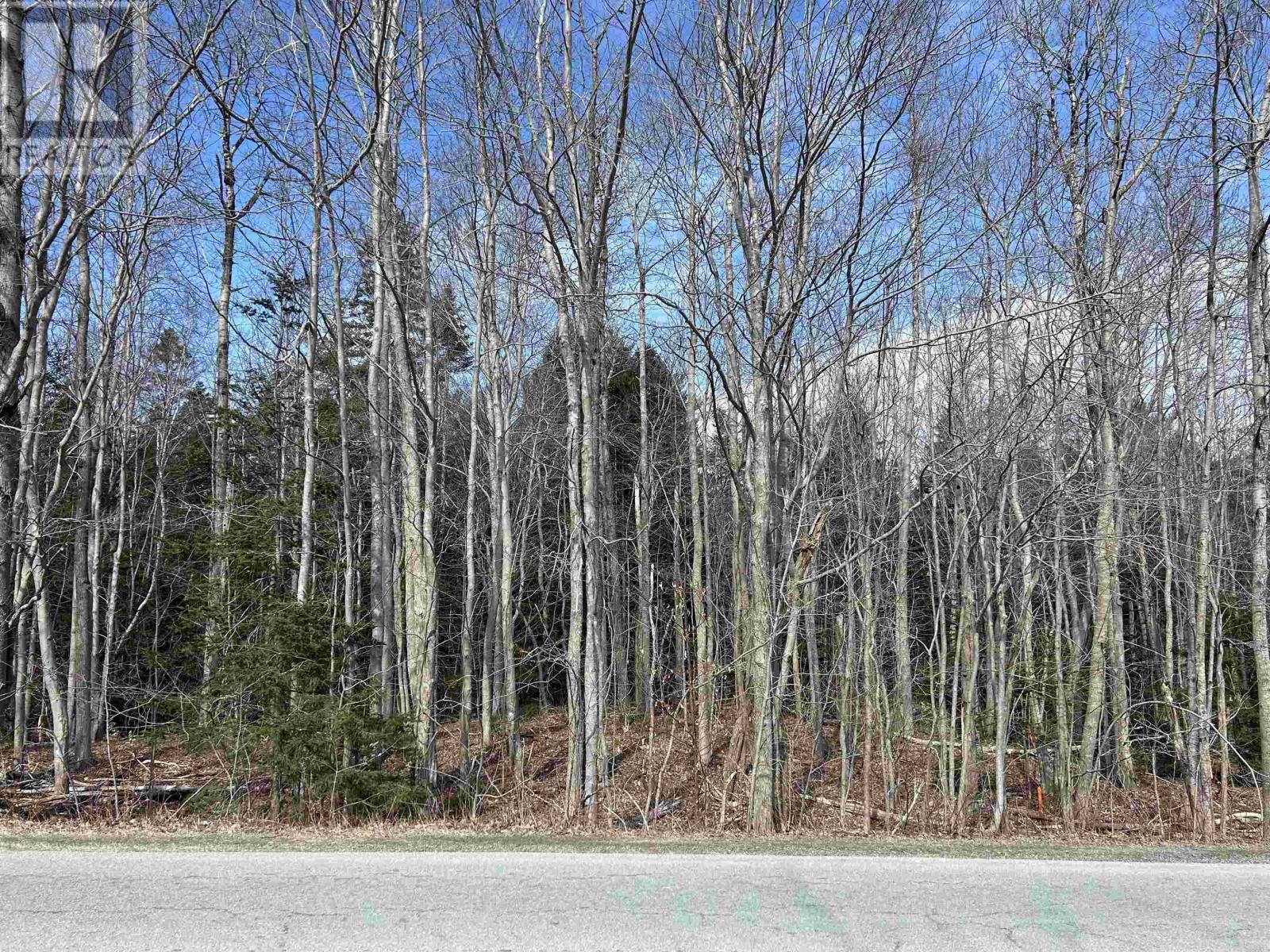 Lot 2 Lower Branch Road, Lower Branch, Nova Scotia  B4V 4M4 - Photo 2 - 202504640