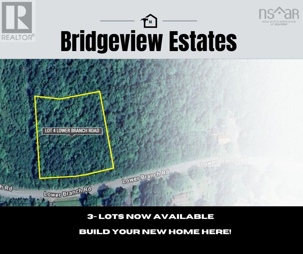 Lot 4 Lower Branch Road, lower branch, Nova Scotia