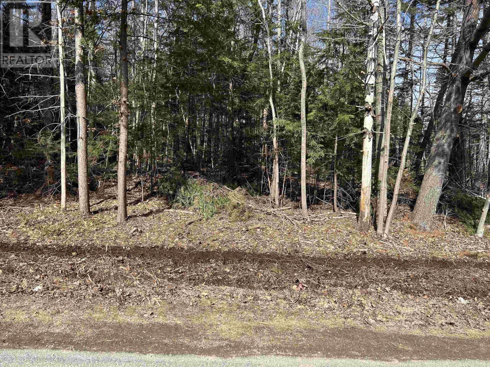 Lot 4 Lower Branch Road, Lower Branch, Nova Scotia  B4V 4M4 - Photo 2 - 202504641