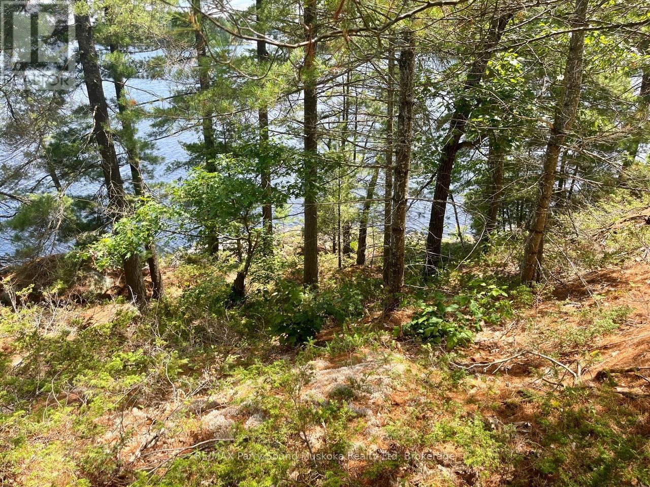 3 Sandy Hook, Whitestone, Ontario  P2A 2E7 - Photo 3 - X12014292
