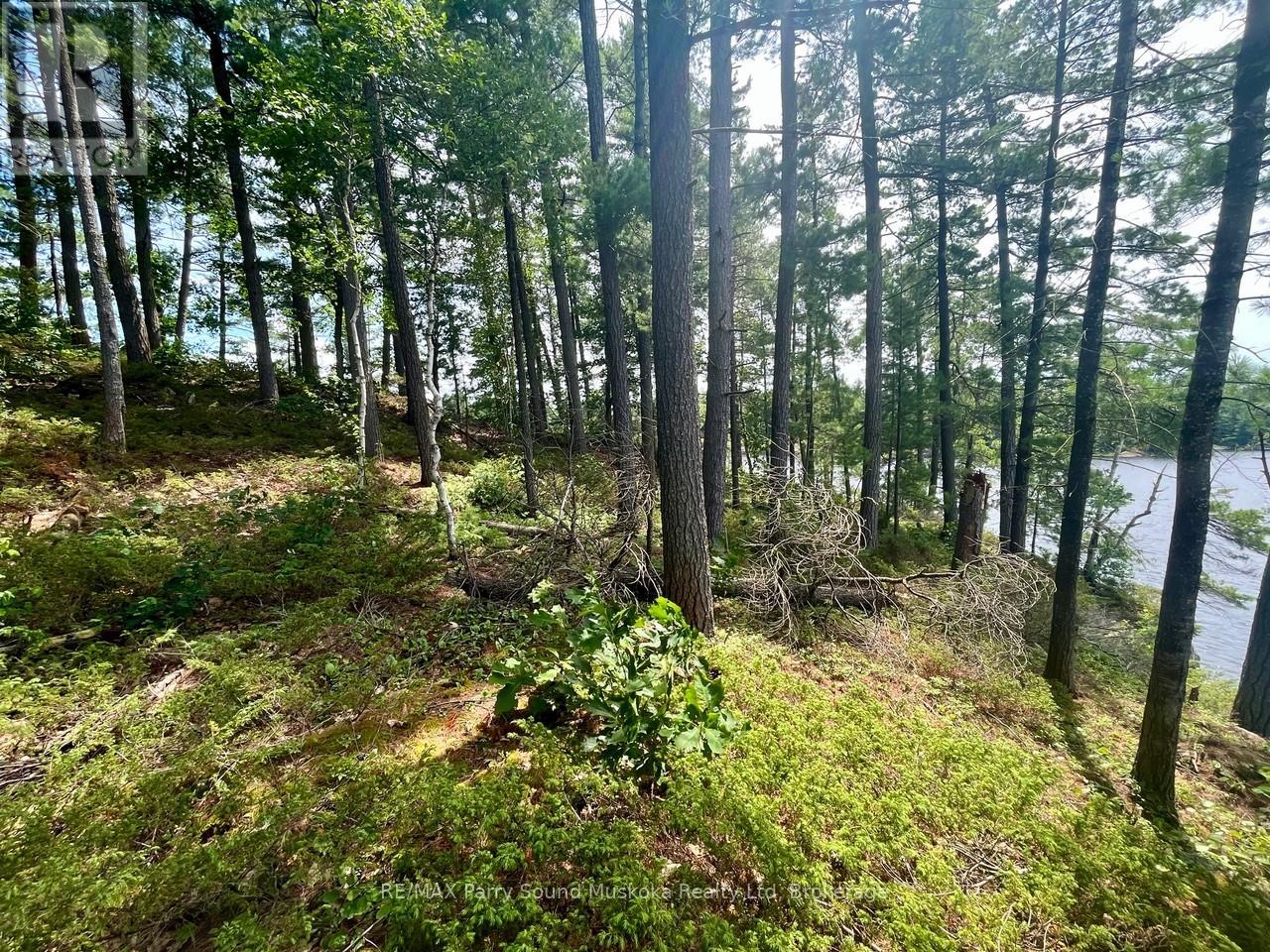 3 Sandy Hook, Whitestone, Ontario  P2A 2E7 - Photo 5 - X12014292