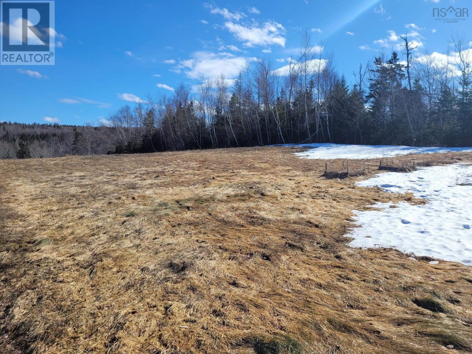45 Dewtie Avenue, Greenwood, Nova Scotia  B0K 1W0 - Photo 6 - 202504659